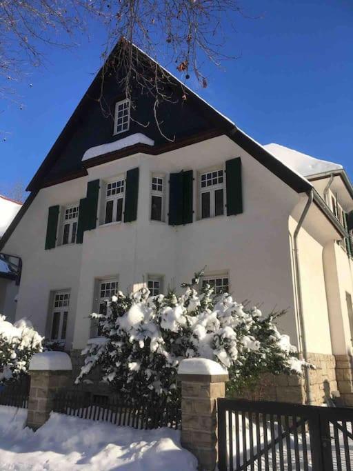 100 Qm Ferienwohnung Am Heiligen Brunnen Кведлинбург Экстерьер фото